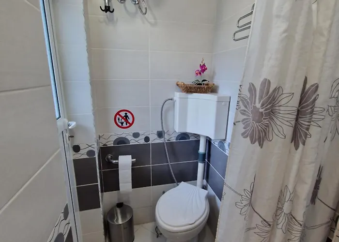 етаж от къща с двор *